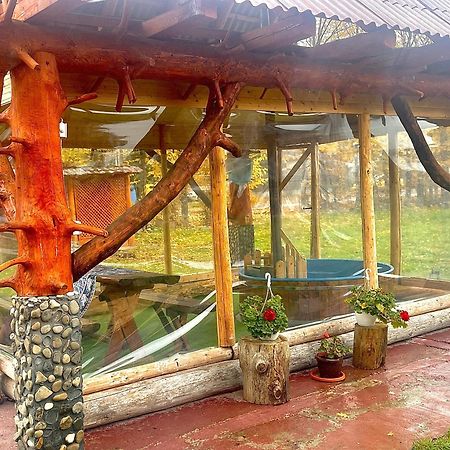 Casa Marinca Otel Ocna Şugatag Dış mekan fotoğraf