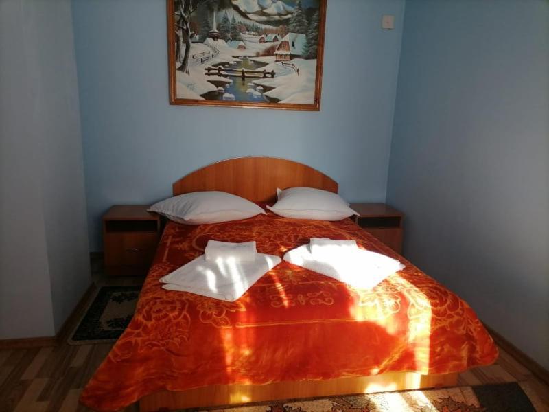 Casa Marinca Otel Ocna Şugatag Dış mekan fotoğraf
