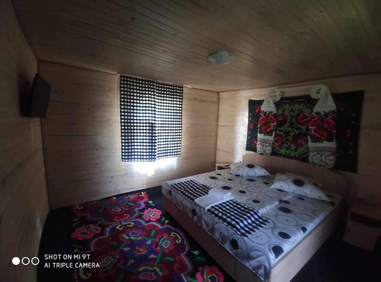 Casa Marinca Otel Ocna Şugatag Dış mekan fotoğraf