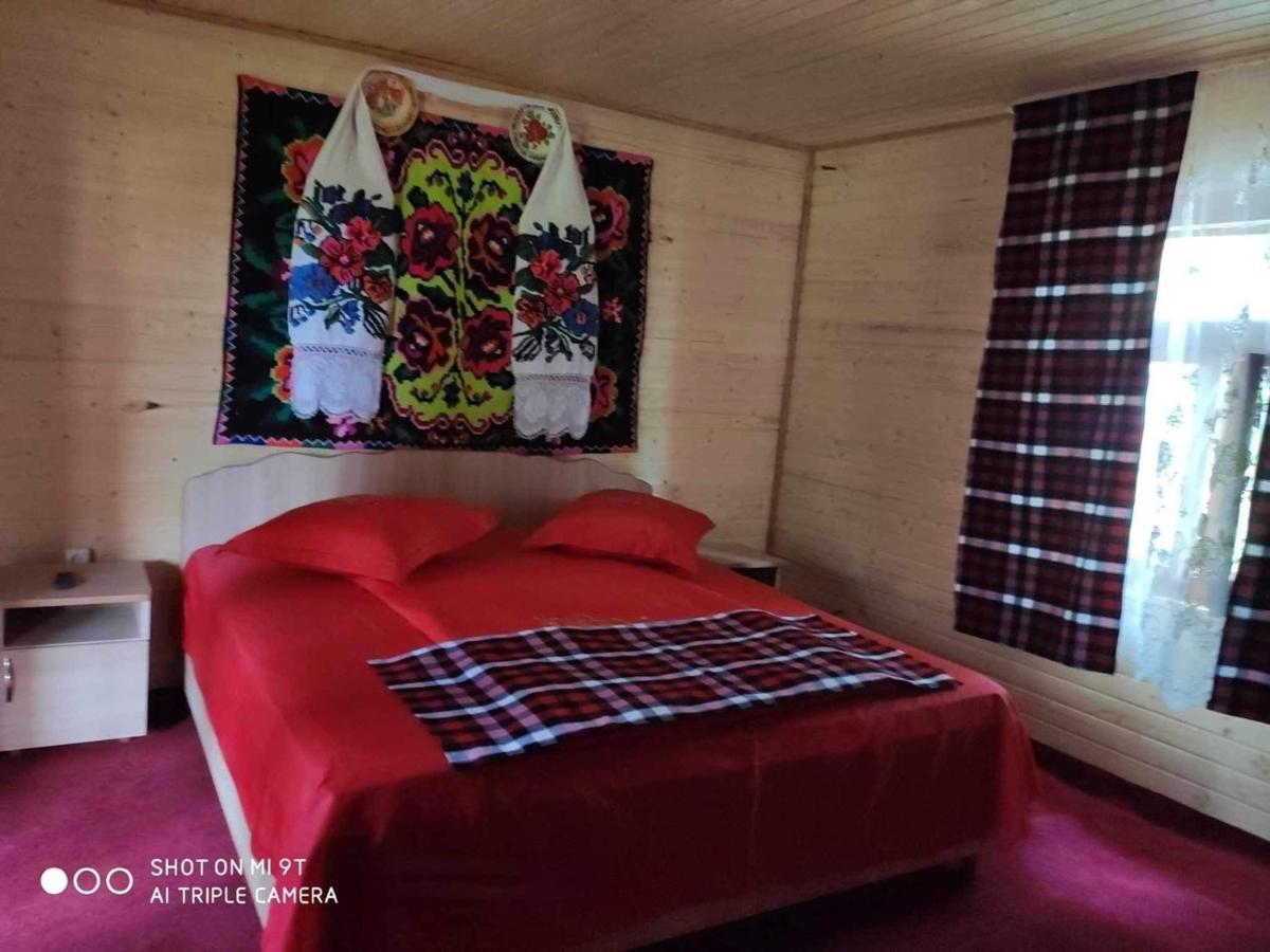 Casa Marinca Otel Ocna Şugatag Dış mekan fotoğraf